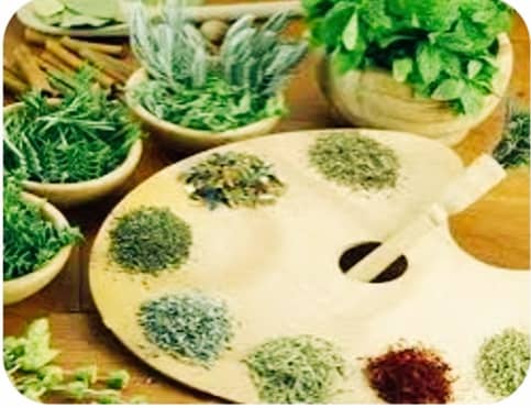 قیمت خرید انواع سبزی خشک