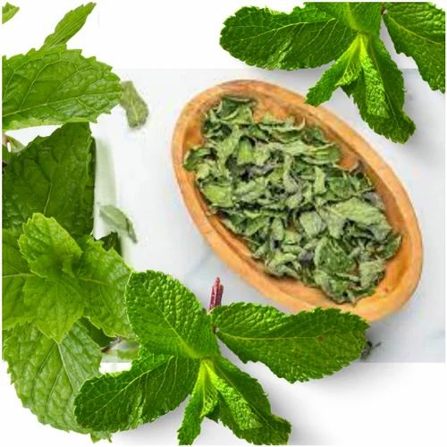 روش های نگهداری از نعنای خشک شده